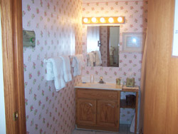 Sarah Bathroom